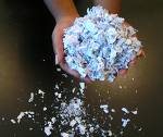 Paper Shreds